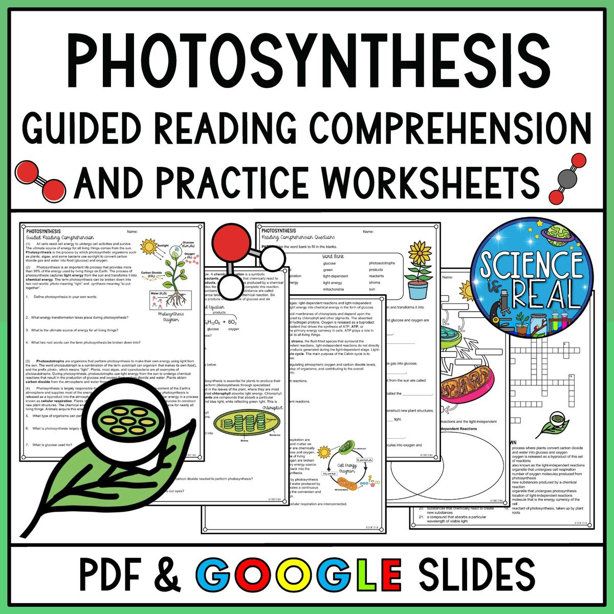 Photosynthesis Reading Comprehension And Activities Classful Photosynthesis Reading Comprehension And Activities Classful