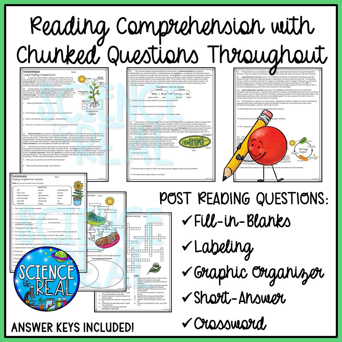 Photosynthesis Reading Comprehension And Activities Classful Photosynthesis Reading Comprehension And Activities Classful