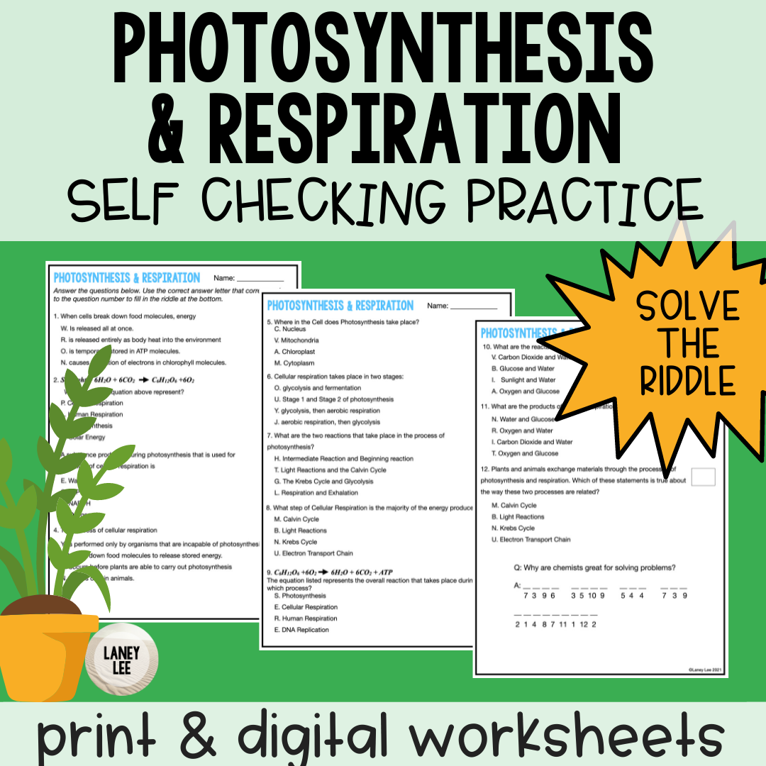 Photosynthesis Respiration Self Checking Practice Worksheet Photosynthesis Respiration Self Checking Practice Worksheet