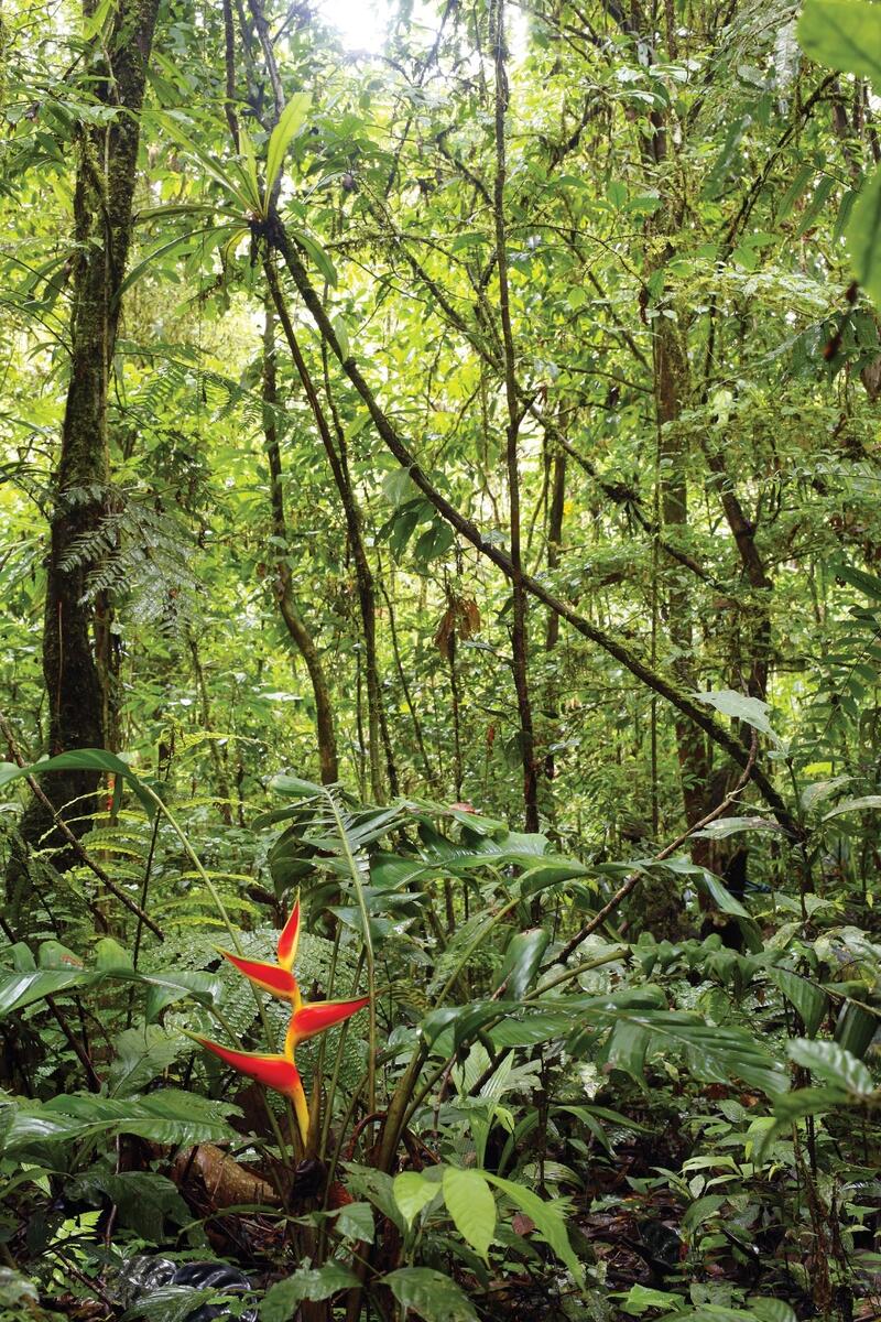 Plant Biodiversity Activity Plant Biodiversity Activity