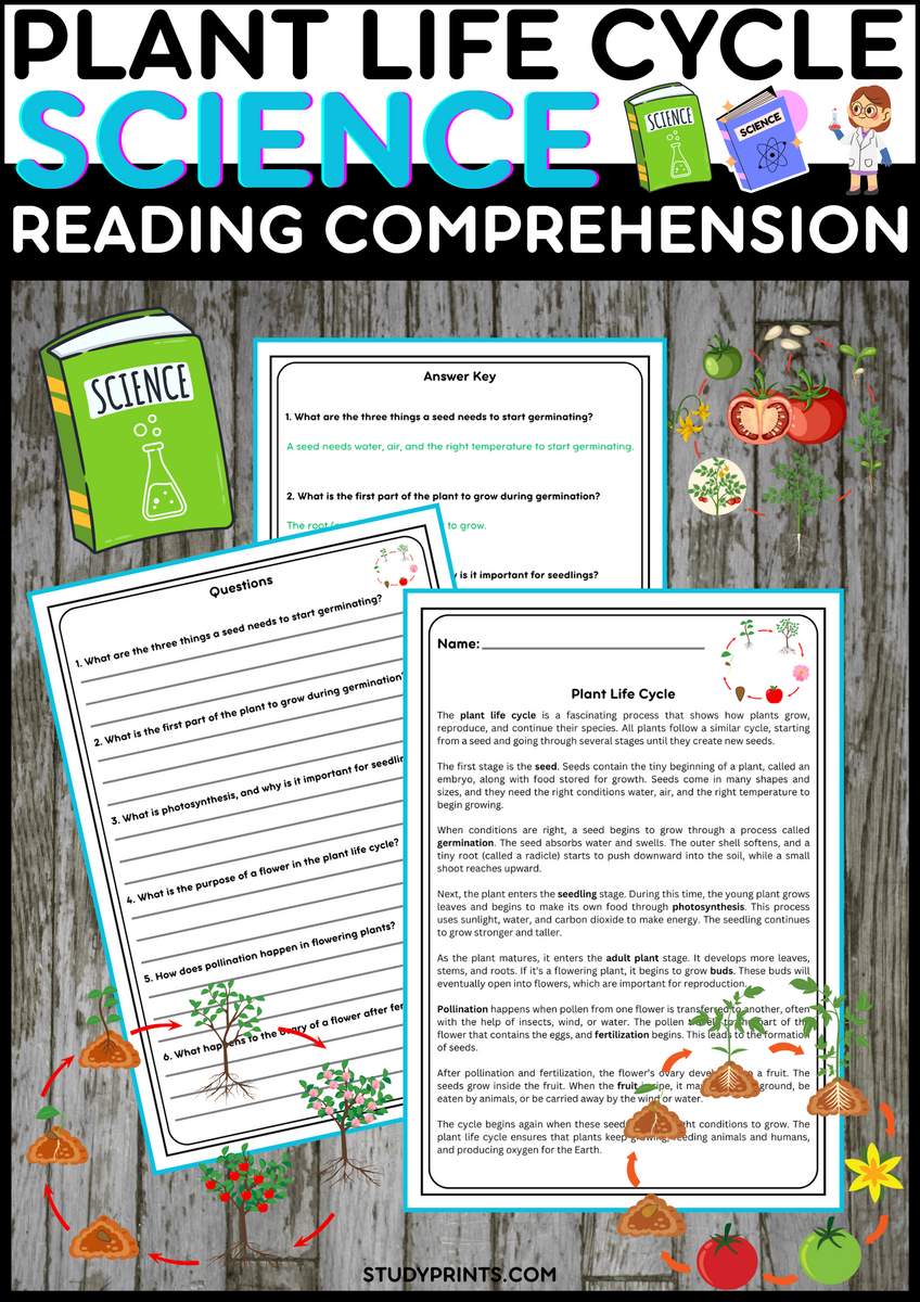 Plant Life Cycle Reading Passage With Comprehension Questions Study Prints