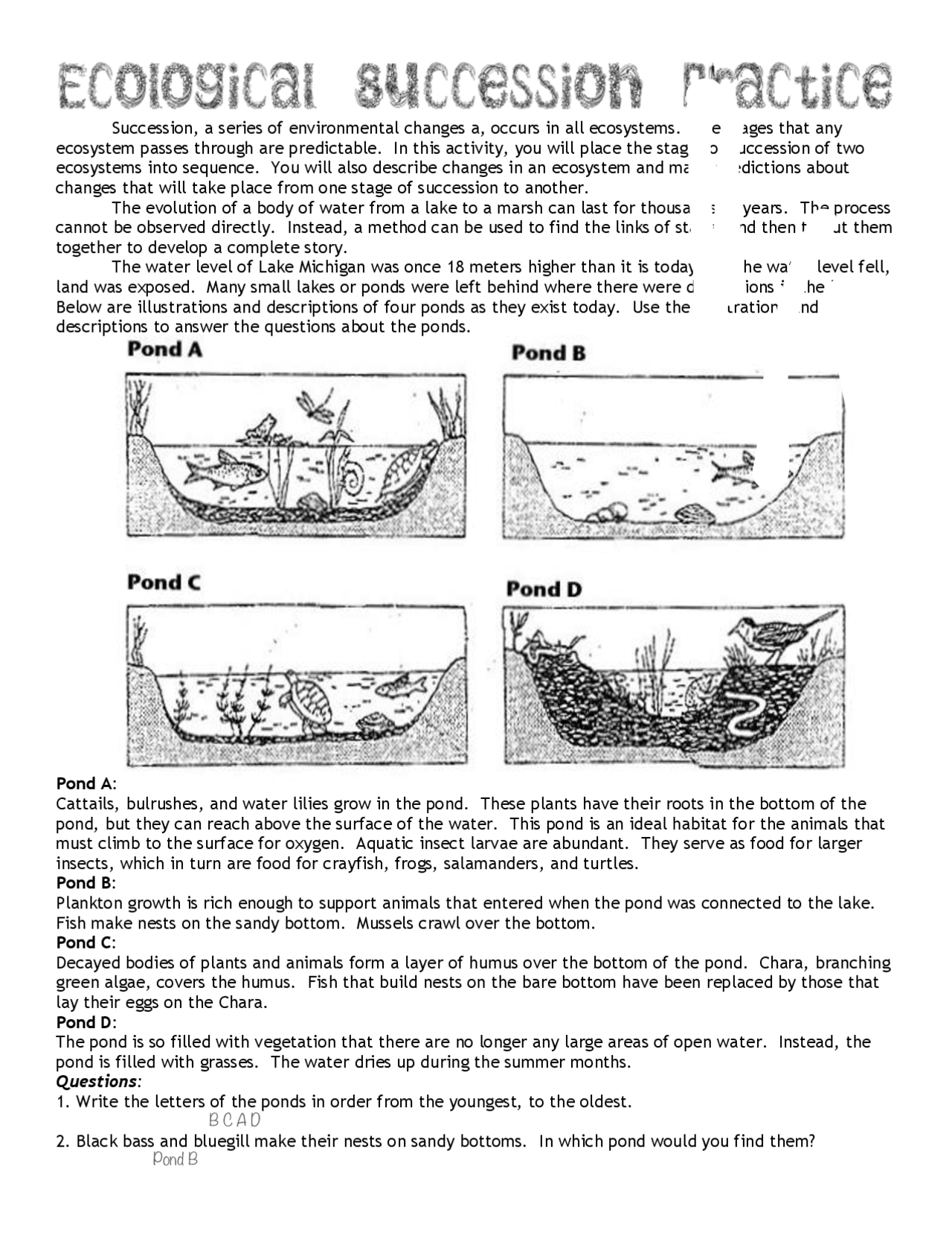 Population Succession Ecology Worksheet Answer Key Exercises Ecology And Environment Docsity Population Succession Ecology Worksheet Answer Key Exercises Ecology And Environment Docsity