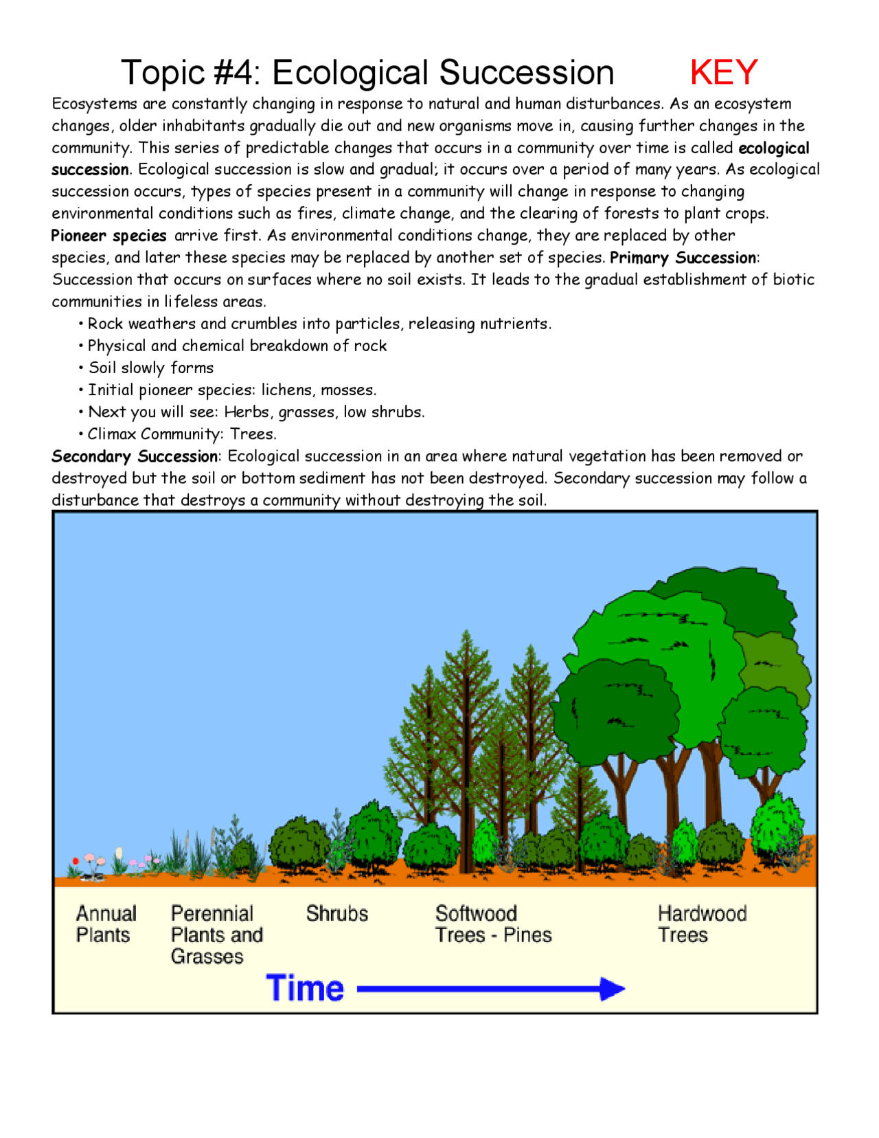 Primary Vs Secondary Succession Worksheet Understanding Ecological Processes Primary Vs Secondary Succession Worksheet Understanding Ecological Processes
