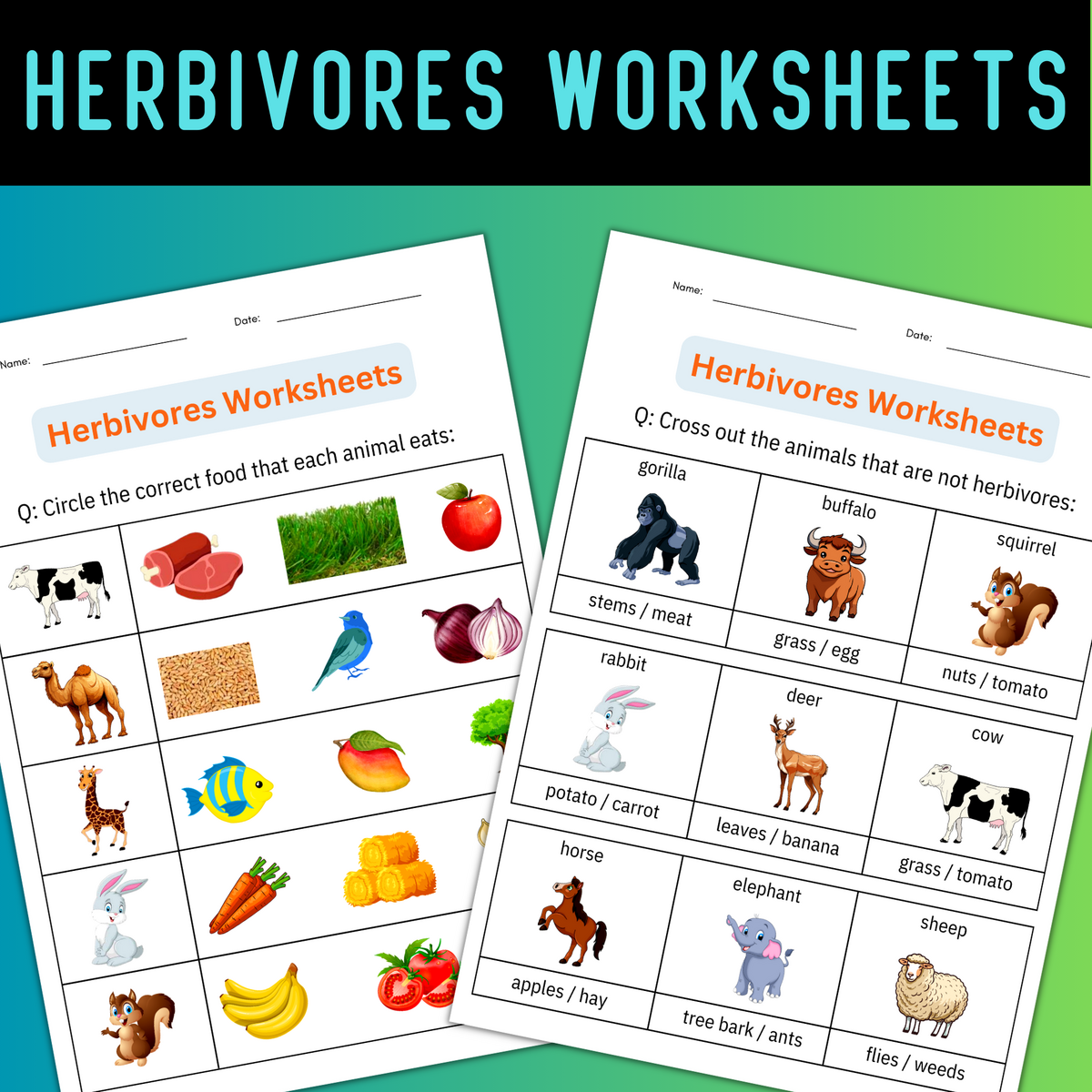Printable Animal Classification Herbivores Worksheets Activities For Grade 1 Made By Teachers Printable Animal Classification Herbivores Worksheets Activities For Grade 1 Made By Teachers
