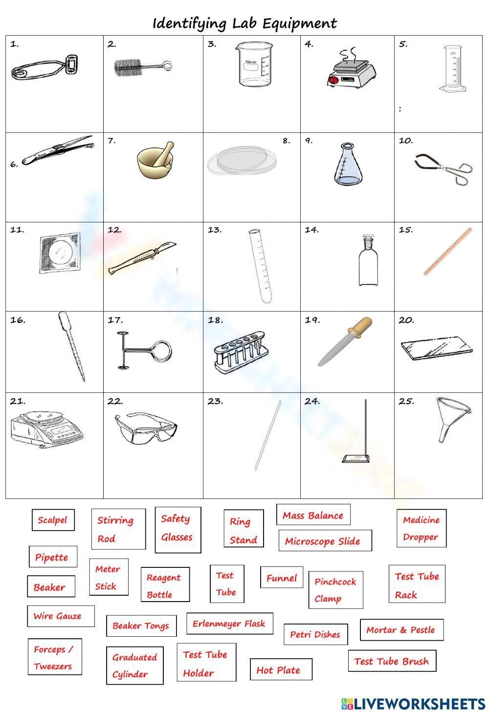 Printable Grade 9 Lab Equipment Worksheets