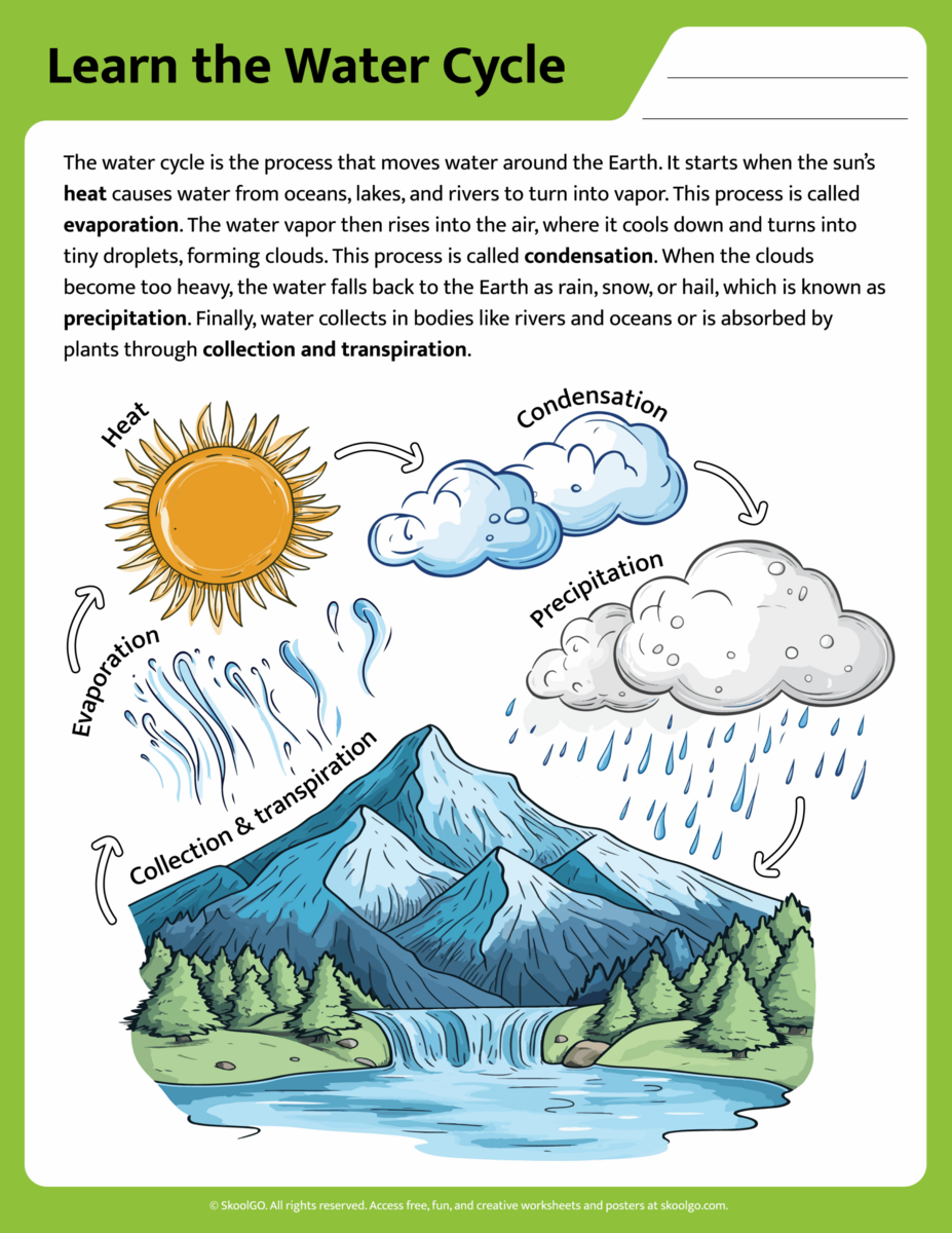 Printable Diagram Science Water Cycle Worksheet And Activities For Grade 1 2 3 Made By Teachers
