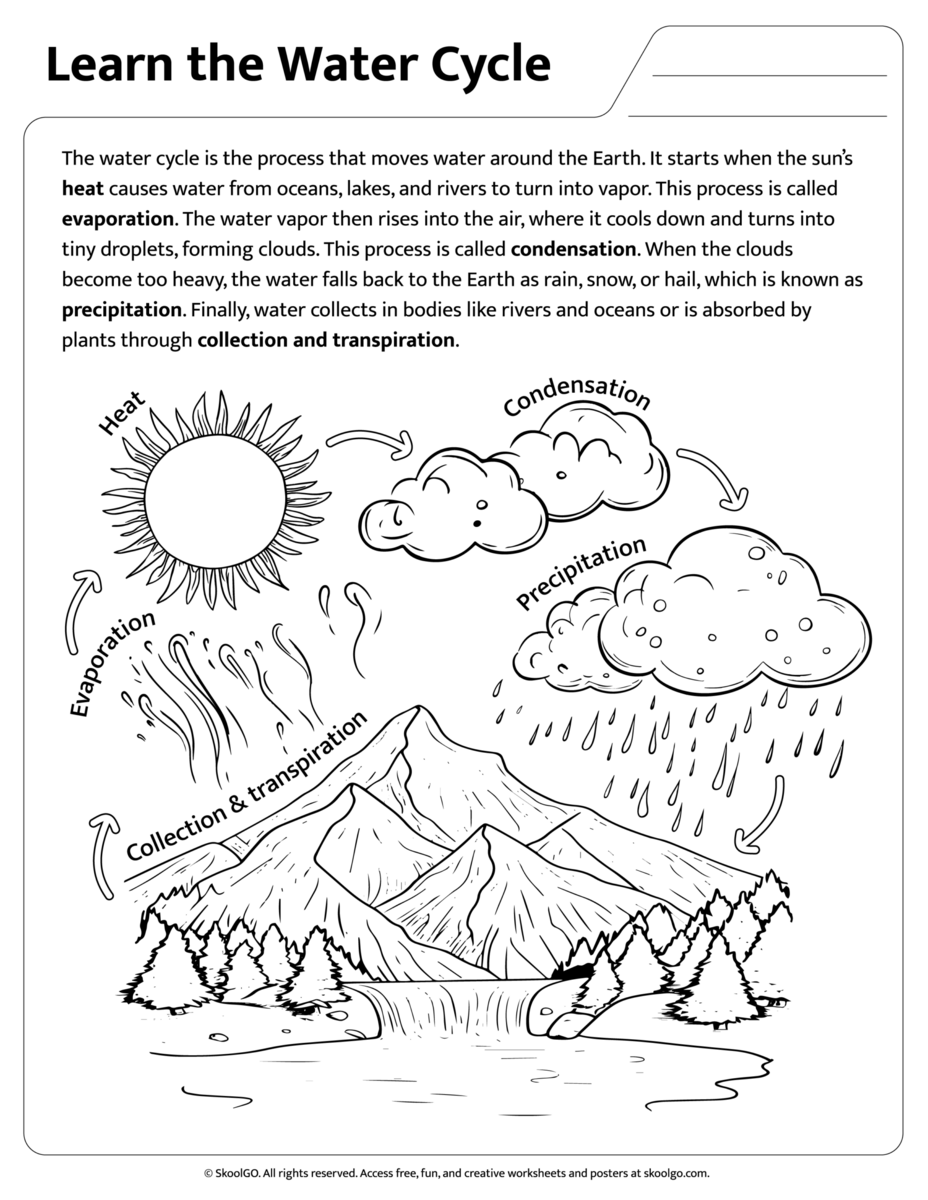 Printable Water Cycle Worksheet For Kids SKOOLGO Storyboard That Free Active Reading Templates