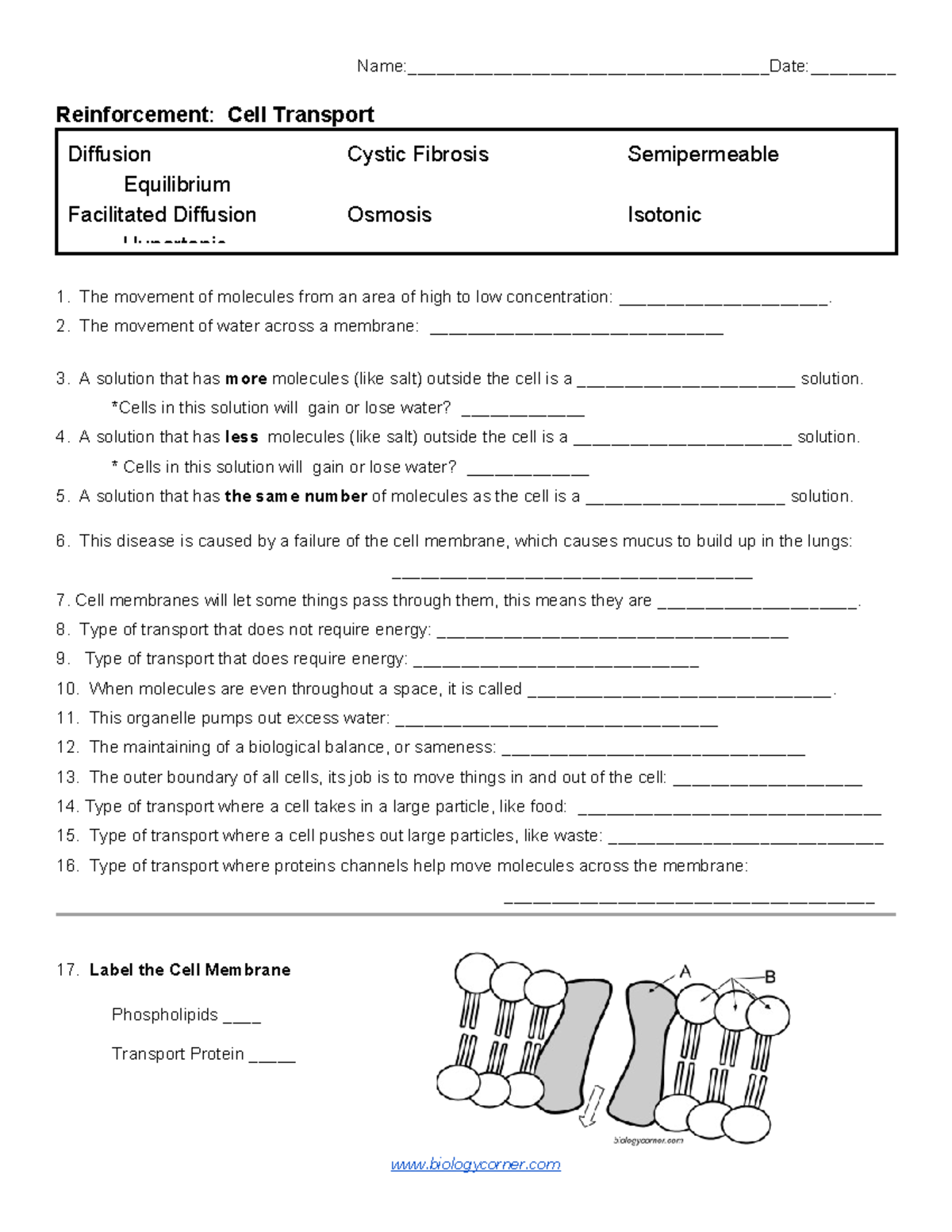 Properties Of Water And PH Worksheet Final Exam Studocu Critical Reading Worksheet Key