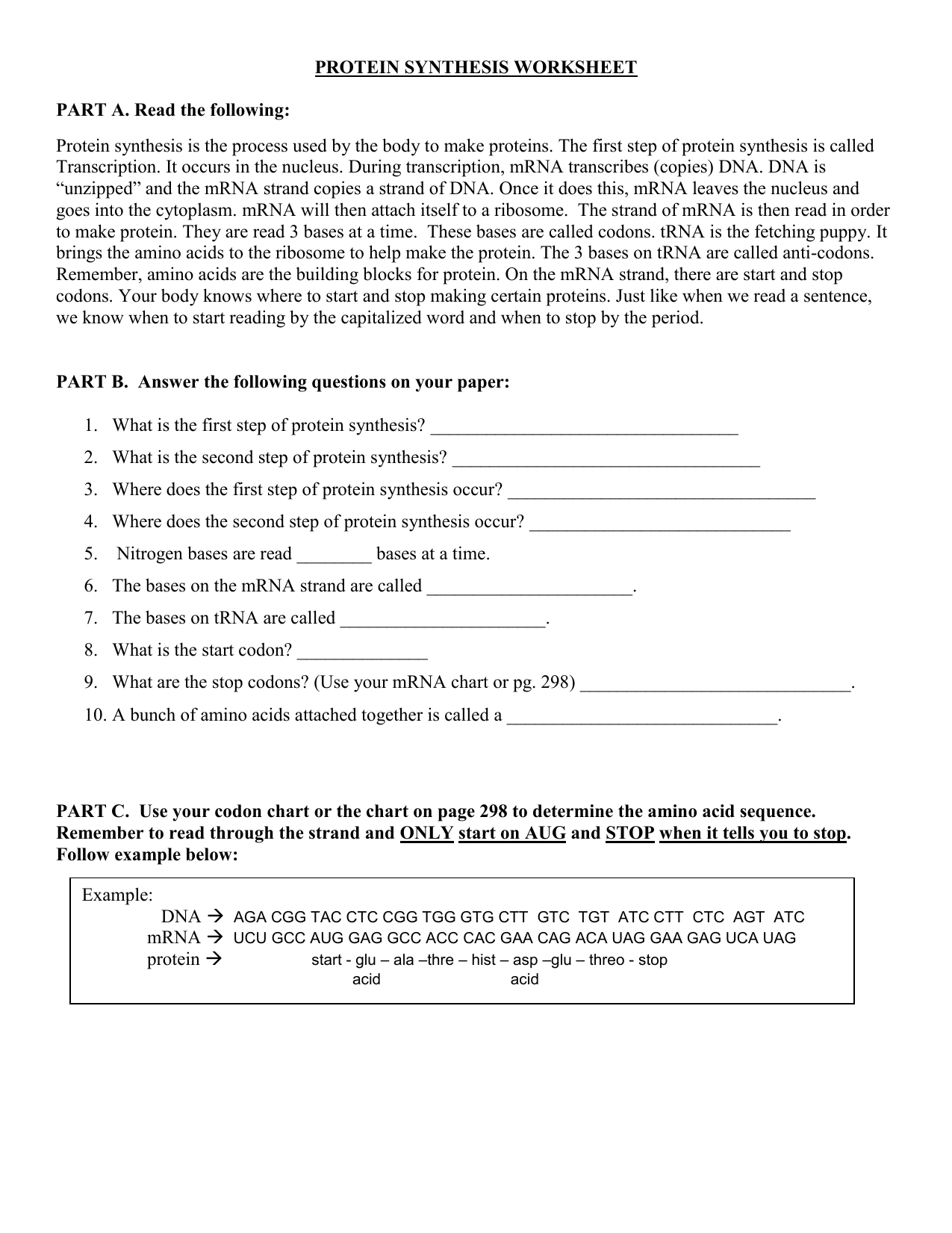 Protein Synthesis Worksheet Transcription Translation Codons Protein Synthesis Worksheet Transcription Translation Codons