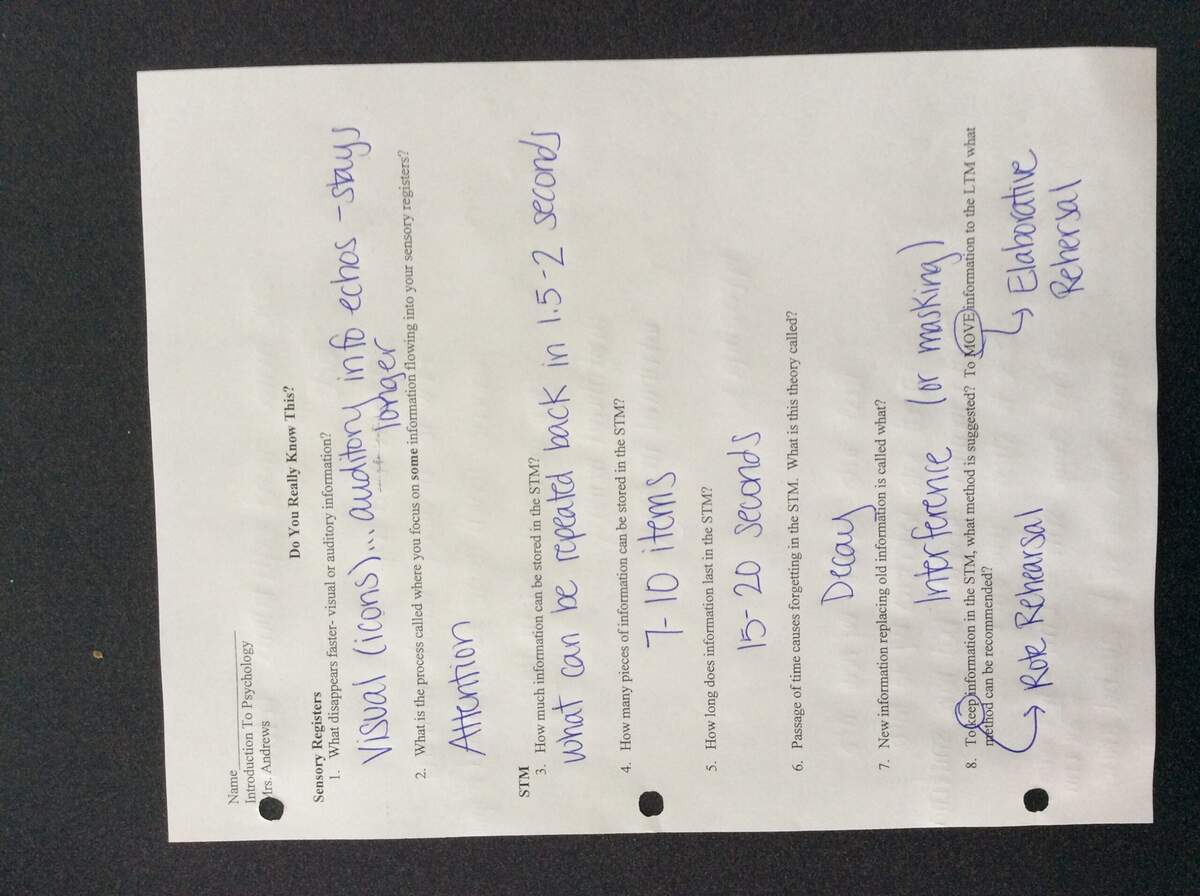 Psychology Homework Ms Andrews Webpage