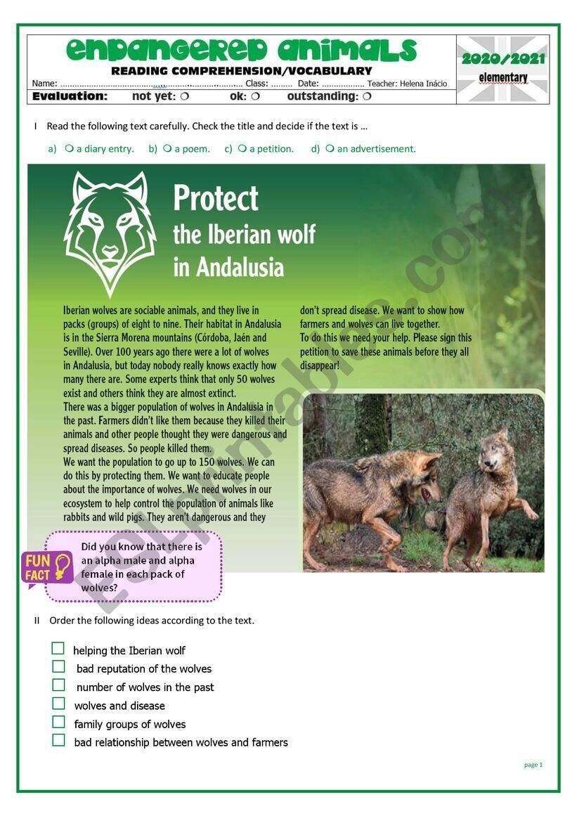 Reading Comprehension Endangered Animals Iberian Wolf ESL Worksheet By Helenaainacio Reading Comprehension Endangered Animals Iberian Wolf ESL Worksheet By Helenaainacio