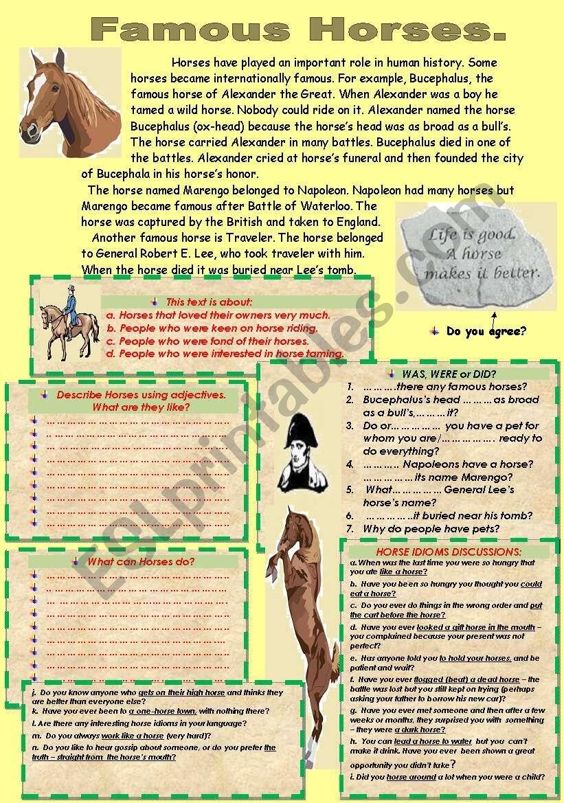 READING COMPREHENSION IDIOMS ABOUT HORSES ESL Worksheet By Nurikzhan READING COMPREHENSION IDIOMS ABOUT HORSES ESL Worksheet By Nurikzhan