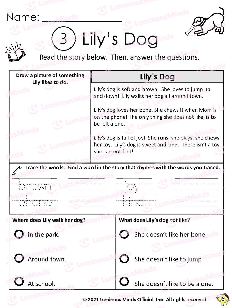 Reading Comprehension Worksheets Lily s Dog