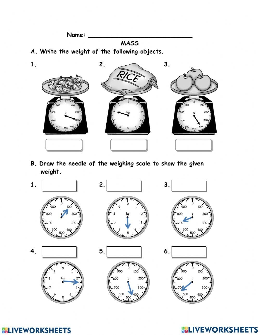 Reading A Scale Worksheet Top Teacher