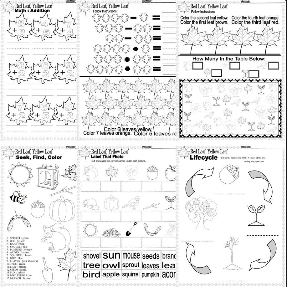 Red Leaf Yellow Leaf Fall Read Aloud Book Study Companion Reading Comprehension Worksheets Classful Pumpkin Town Fall Read Aloud Book Study Companion Reading Comprehension Worksheets Classful