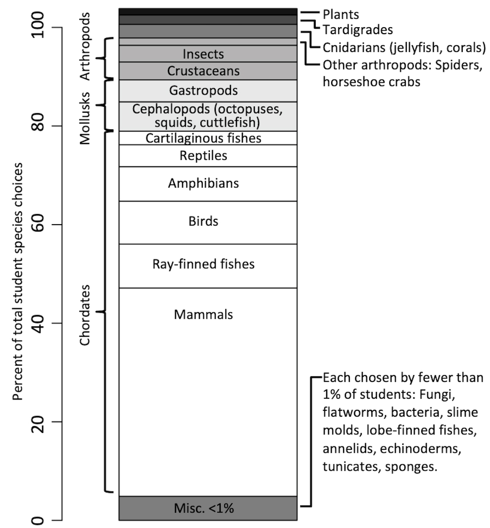 Resources Biodiversity Show And Tell An Accessible Activity To Encourage Students To Explore The Tree Of Life Resources Biodiversity Show And Tell An Accessible Activity To Encourage Students To Explore The Tree Of Life