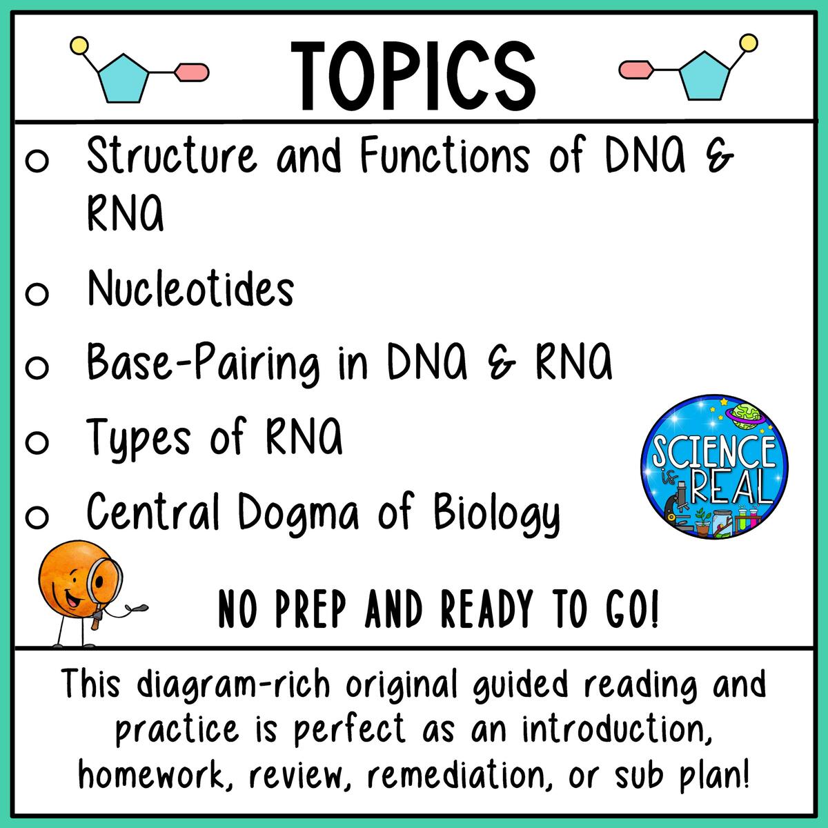 RNA And DNA Reading Comprehension And Worksheets Classful