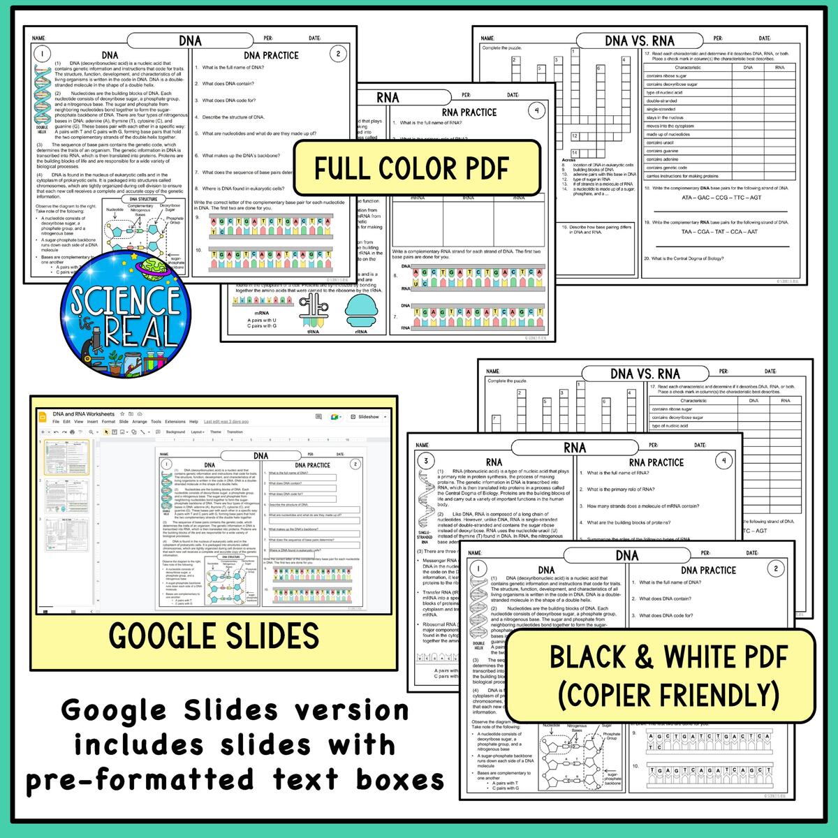RNA And DNA Reading Comprehension And Worksheets Classful RNA And DNA Reading Comprehension And Worksheets Classful