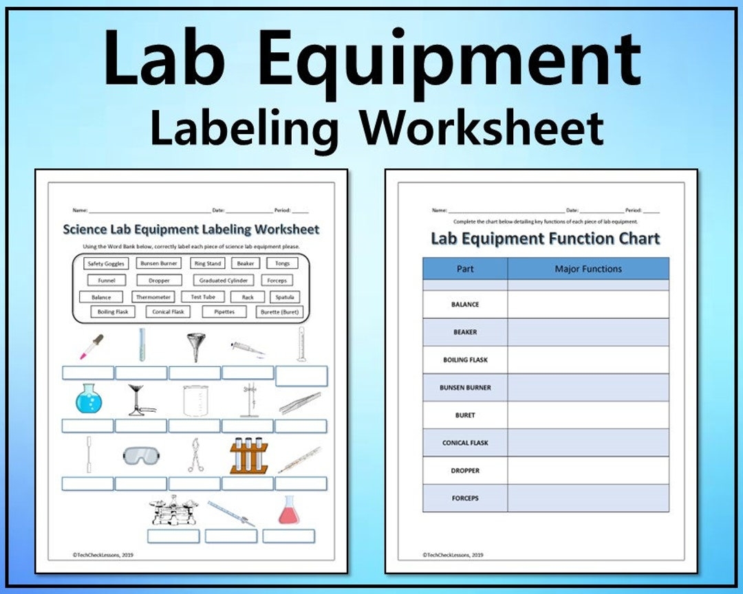 Science Lab Equipment Labeling Functions Worksheet printable graphic Organizer Editable DIGITAL DOWNLOAD Etsy