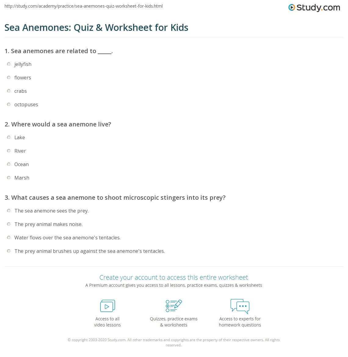 Sea Anemones Quiz Worksheet For Kids Study Reading Comprehension Sweet Potato Solutions Made By Teachers