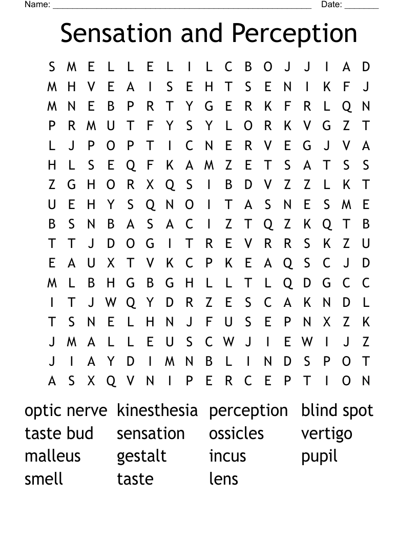 Sensation And Perception Word Search WordMint