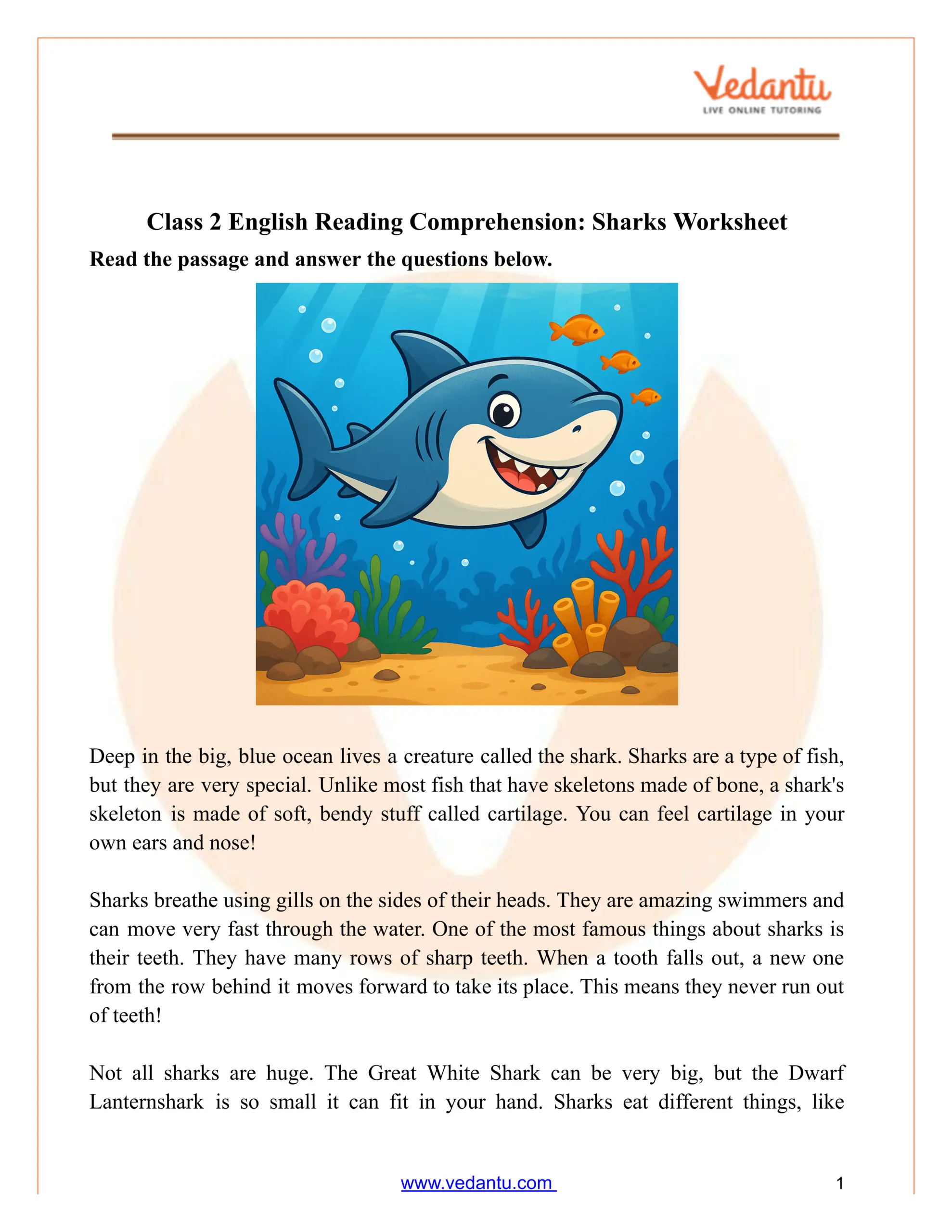 Shark Reading Comprehension Worksheet For Grade 2 PDF SHARKS Nonfiction Reading Comprehension Main Idea Made By Teachers