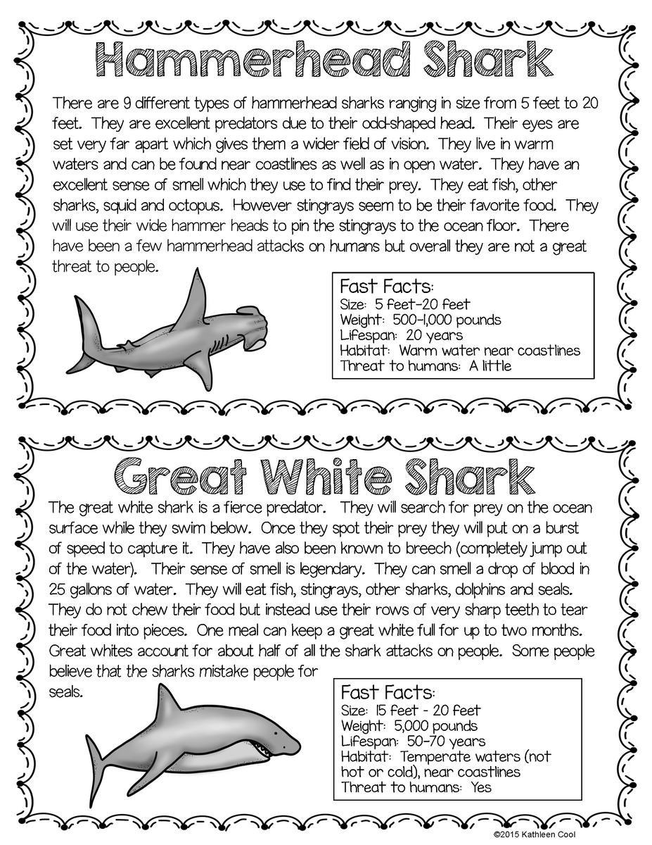 Sharks Nonfiction Unit Sharks Nonfiction Unit
