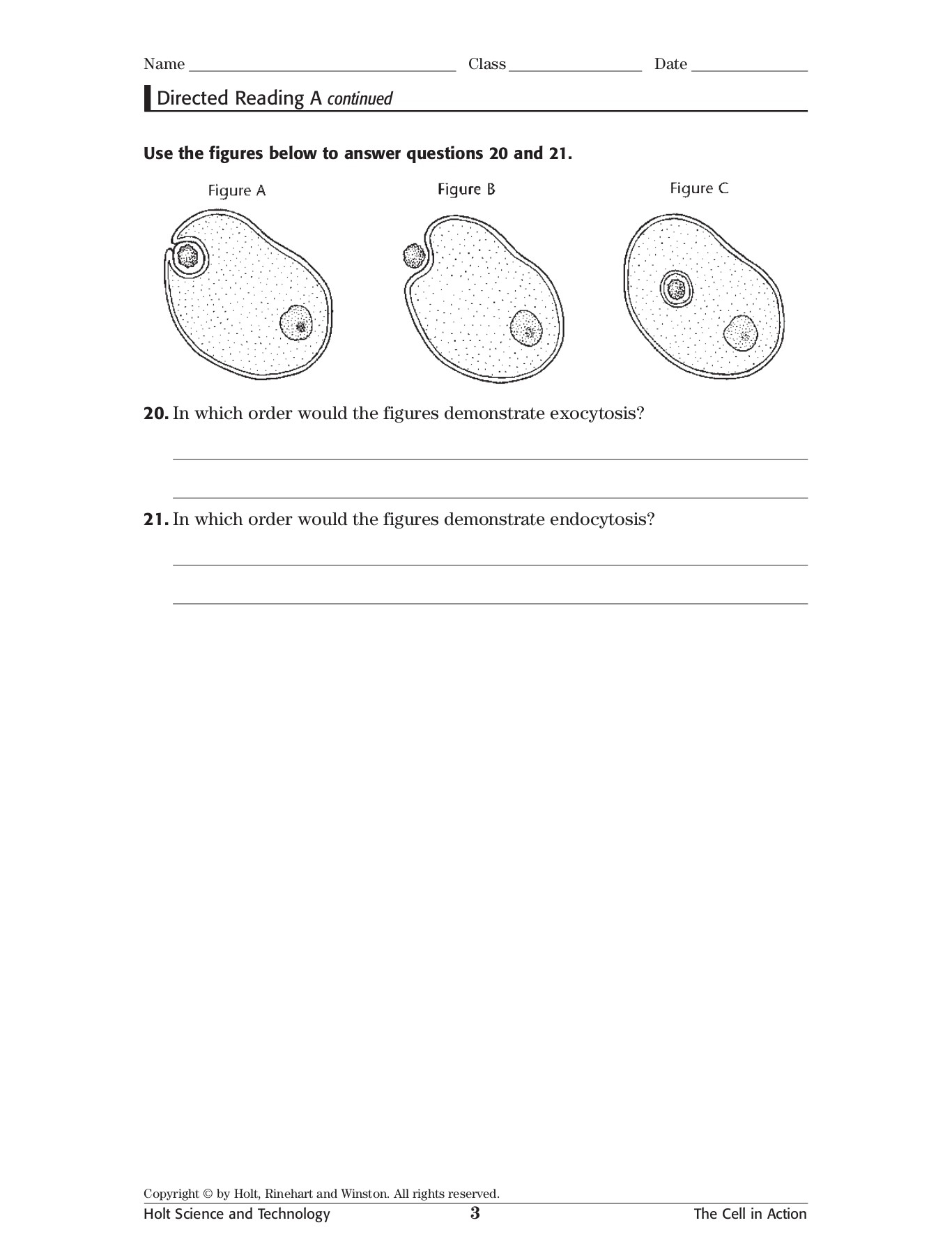 Skills Worksheet Directed Reading A Flip EBook Pages 1 4 AnyFlip Skills Worksheet Directed Reading A Flip EBook Pages 1 4 AnyFlip