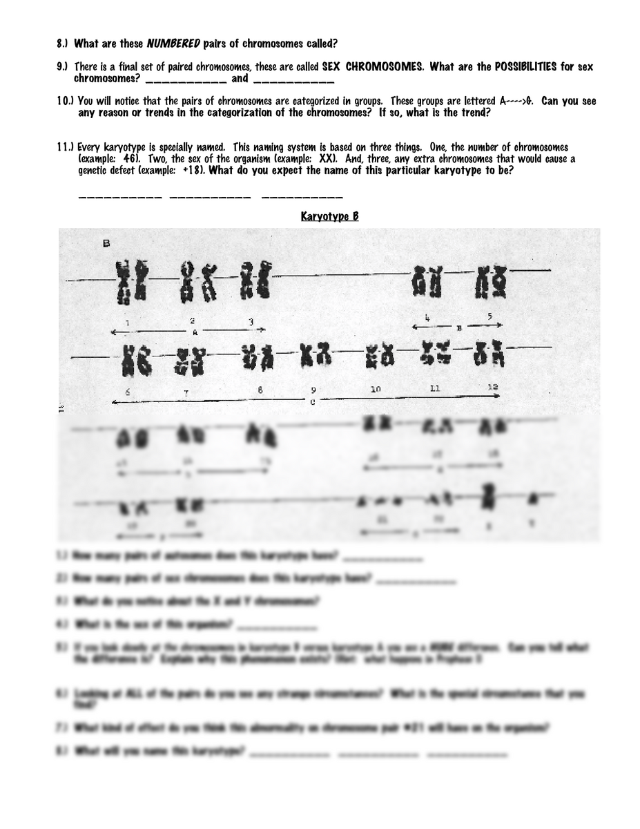 SOLUTION Karyotype Worksheet Studypool Worksheets Library SOLUTION Karyotype Worksheet Studypool Worksheets Library
