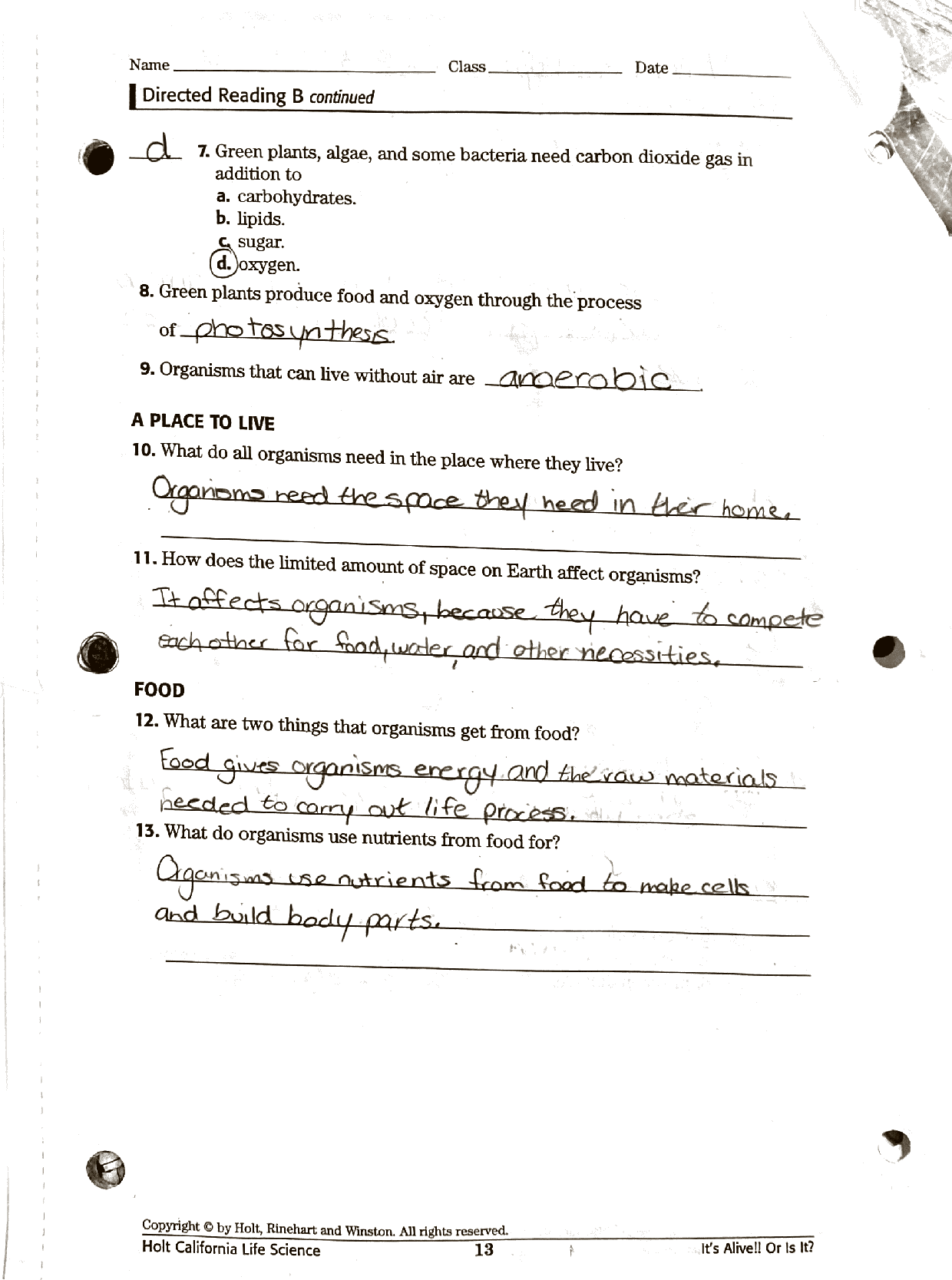 SOLUTION Necessities Of Life Directed Reading Worksheet Studypool Worksheets Library