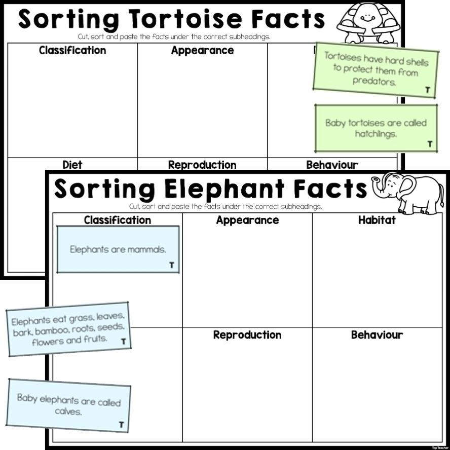 Sorting Animal Facts Information Report Worksheets Top Teacher Text Structure Worksheet 1 Reading Activity