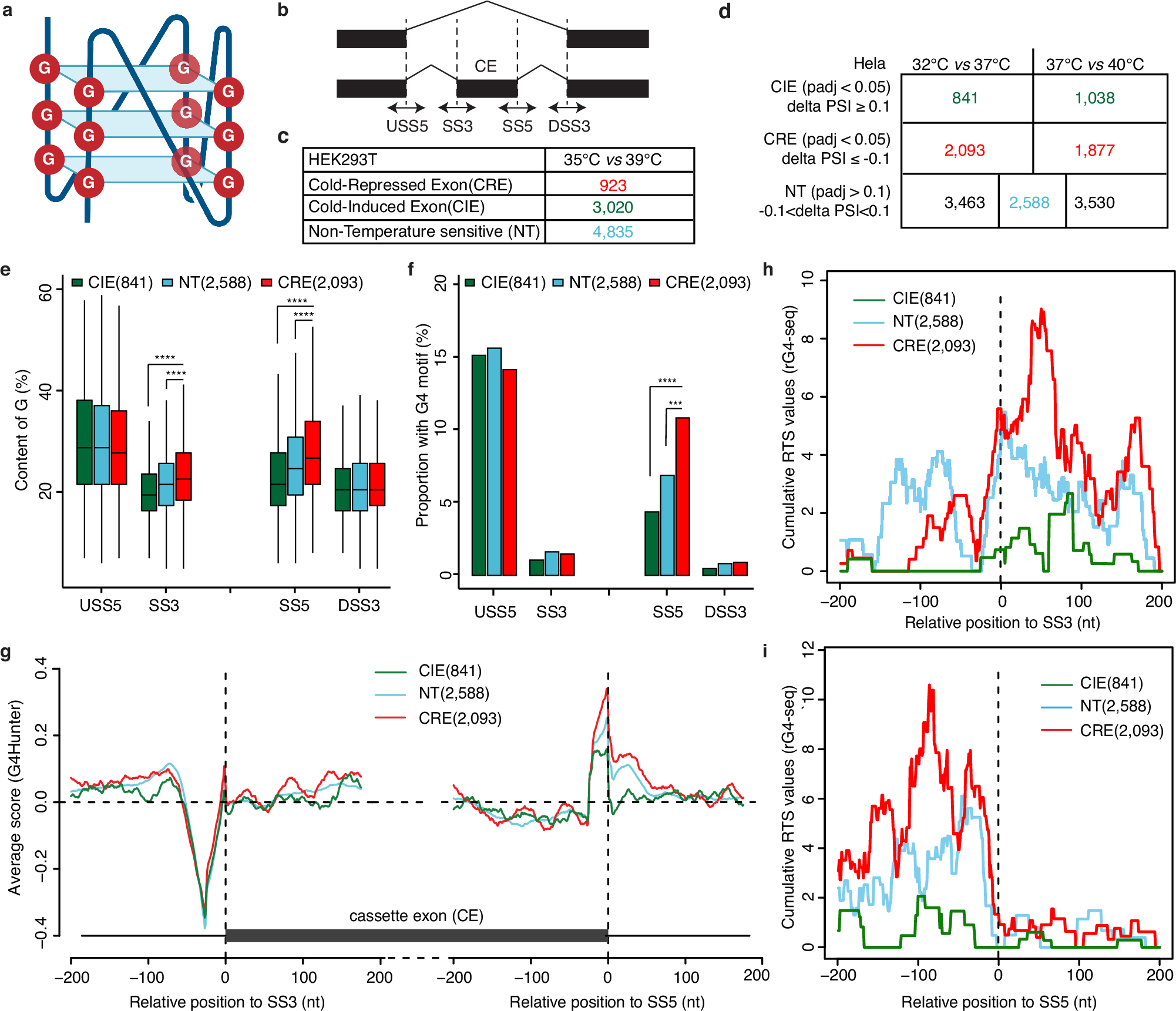 Stabilizing A Mammalian RNA Thermometer Confers Neuroprotection In Subarachnoid Hemorrhage Nature Communications Stabilizing A Mammalian RNA Thermometer Confers Neuroprotection In Subarachnoid Hemorrhage Nature Communications