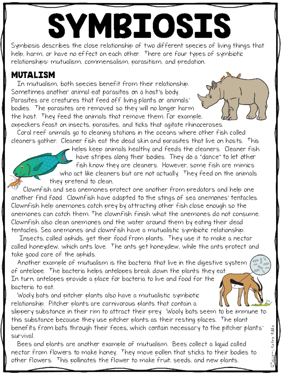 Symbiotic Relationships Reading Comprehension Worksheet Bio 101 Studocu