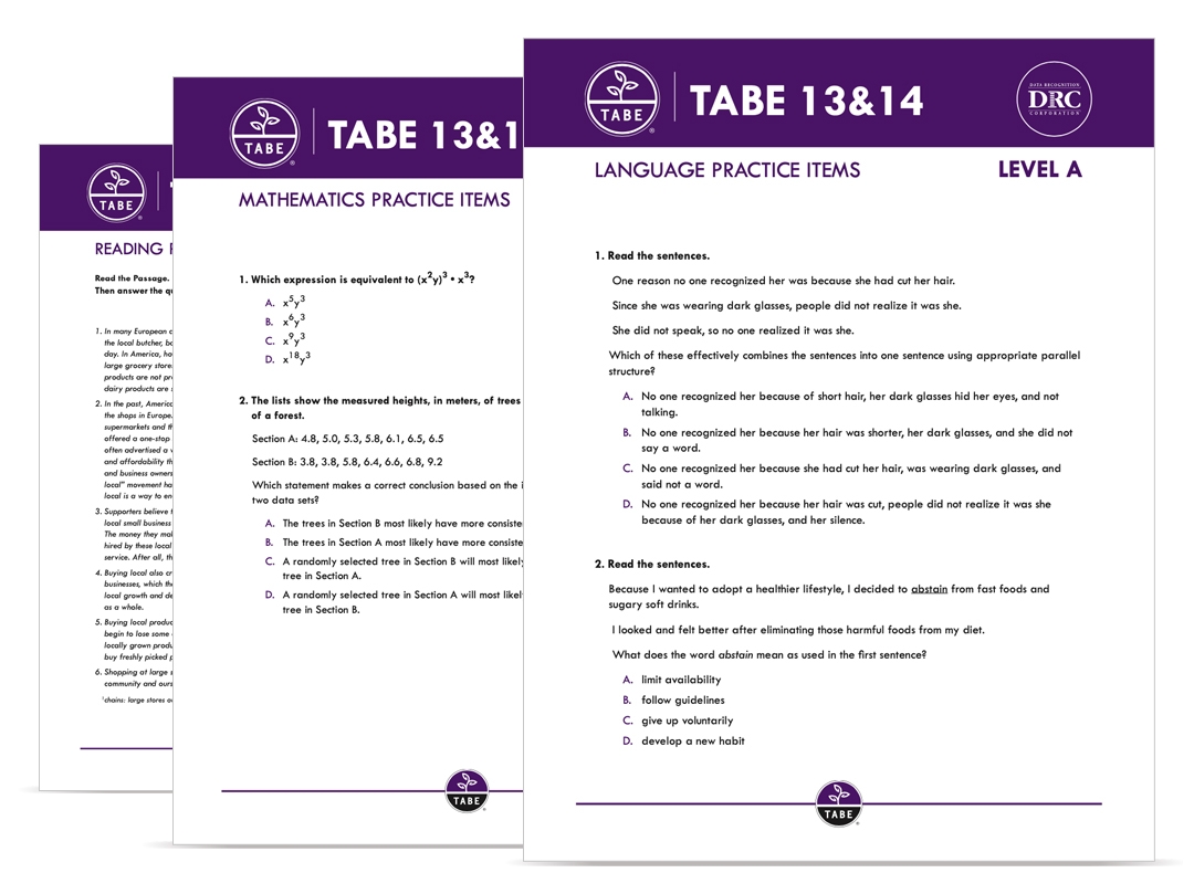 TABE 13 14 Sample Practice Items Tabetest