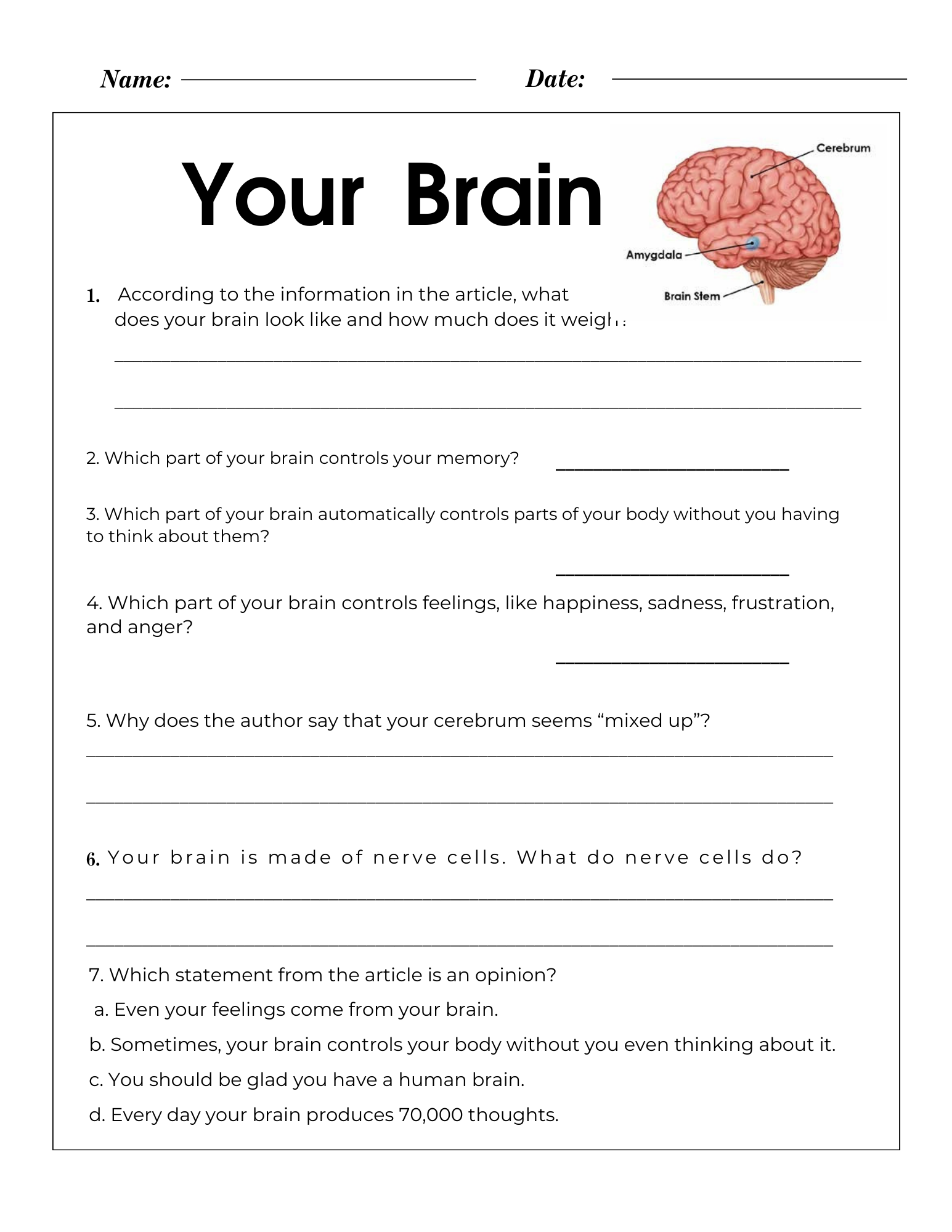 Reading Comprehension Brain And Love ESL Worksheet By Aaisha86