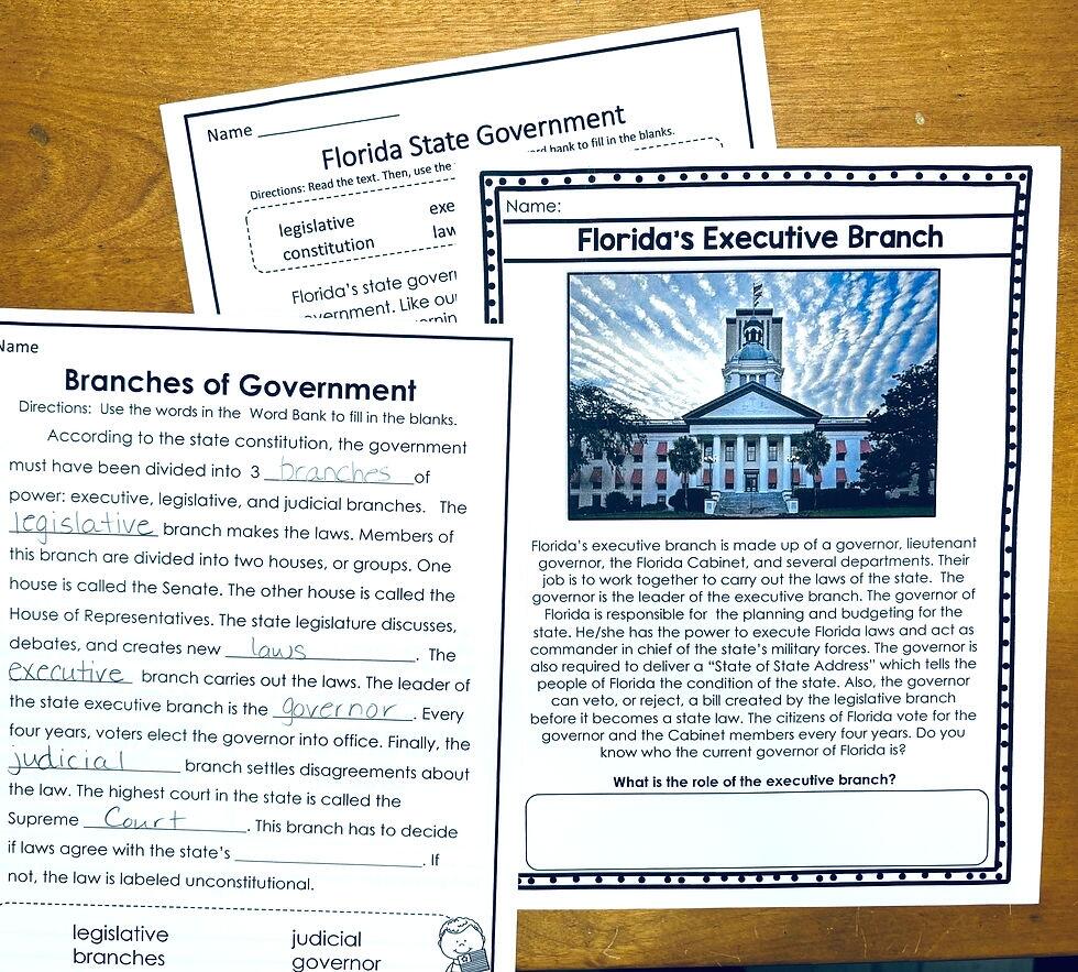 Three Branches Of Government Activities For Florida Teachers