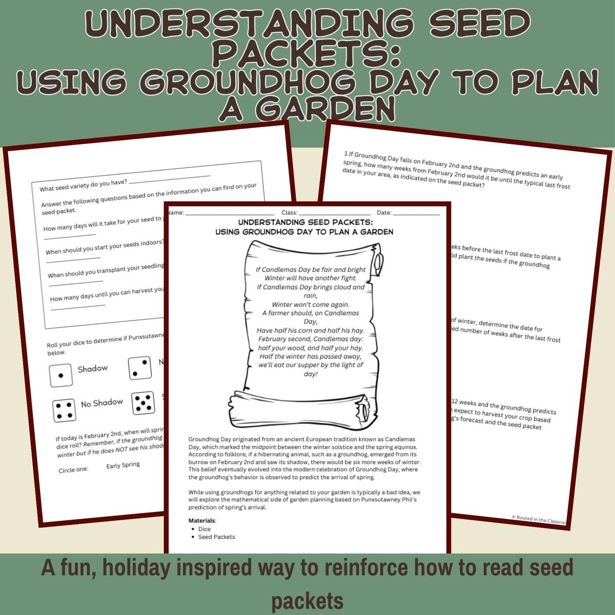 Understanding Seed Packets Reinforcement Activity Groundhog Day Classful Understanding Seed Packets Reinforcement Activity Groundhog Day Classful