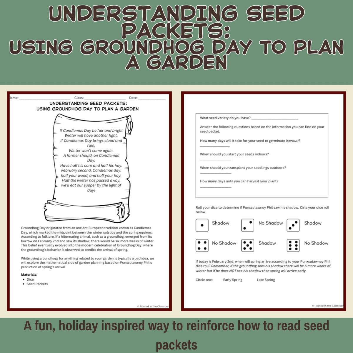 Understanding Seed Packets Reinforcement Activity Groundhog Day Classful