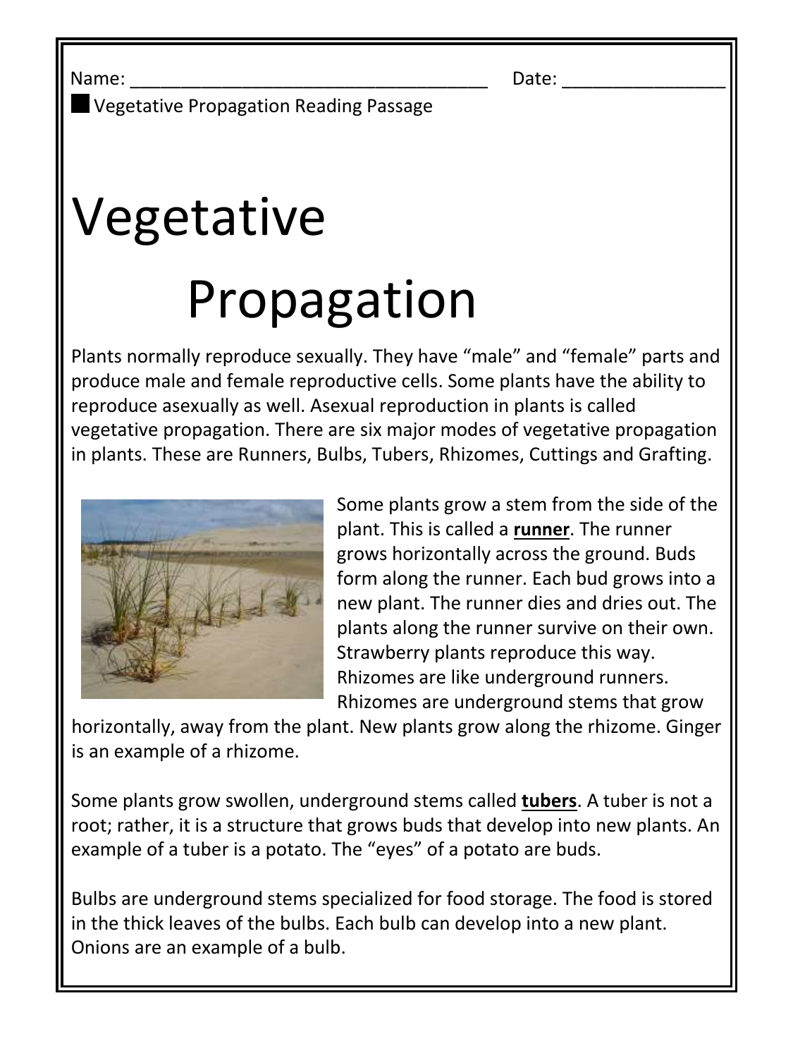 Vegetative Propagation Reading Worksheet Vegetative Propagation Reading Worksheet