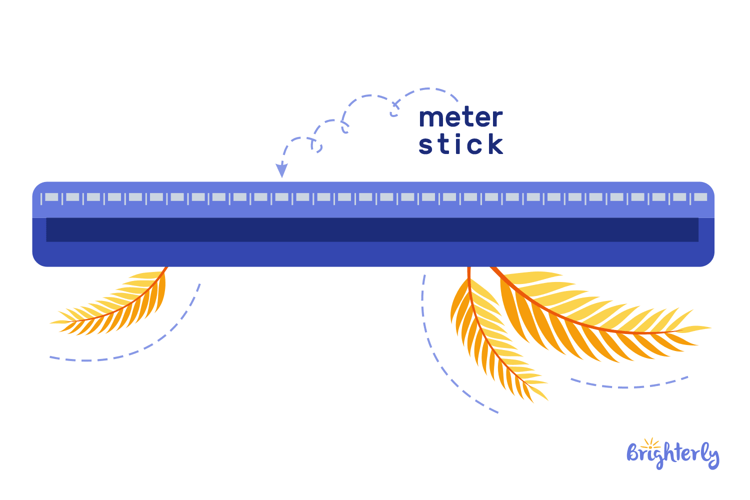 What Is A Meter Stick Definition And Examples