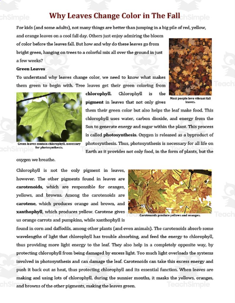 Why Leaves Change Color In The Fall Reading Comprehension Article By Teach Simple