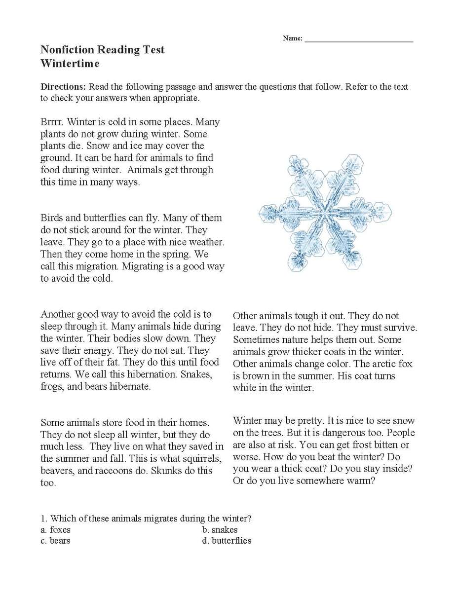 Wintertime Nonfiction Reading Activity Wintertime Nonfiction Reading Activity